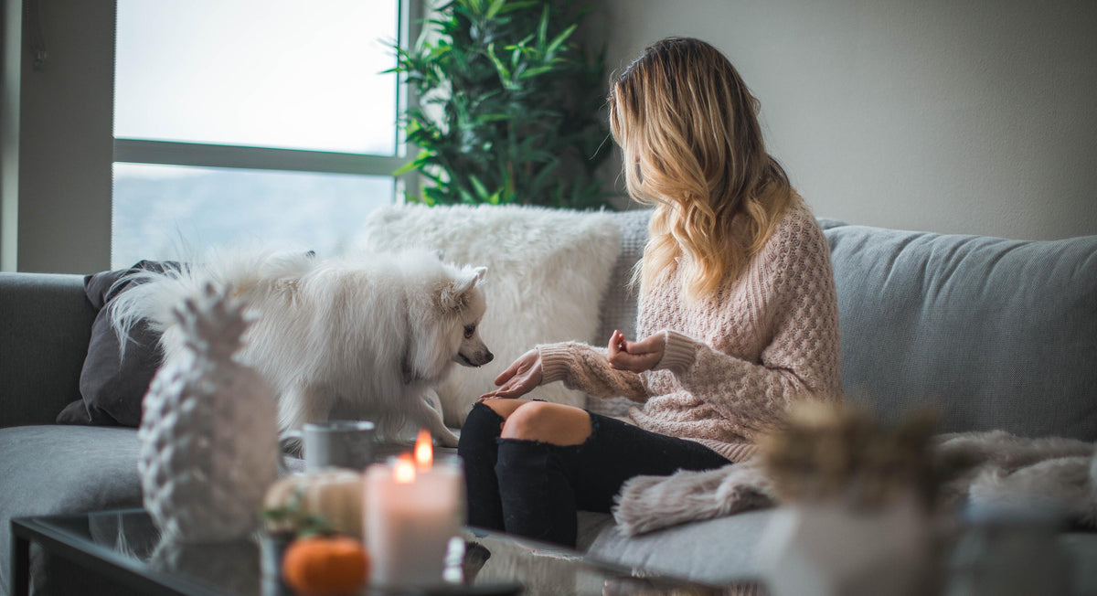 Your iSO Health Tips – Pause Wellness Australia